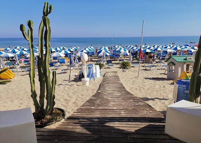 Mizzika Vacanze